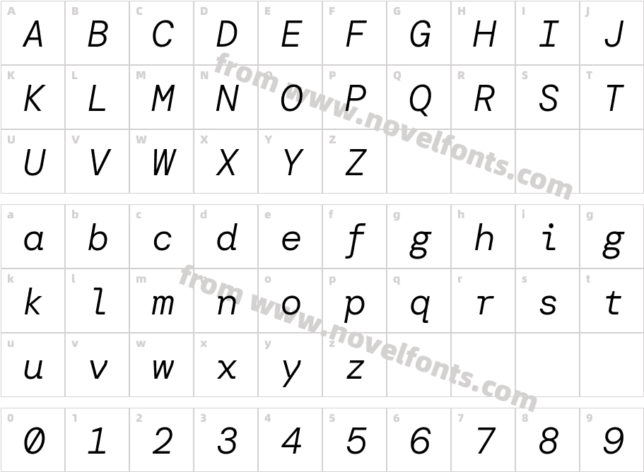 DM Mono Light ItalicCharacter Map