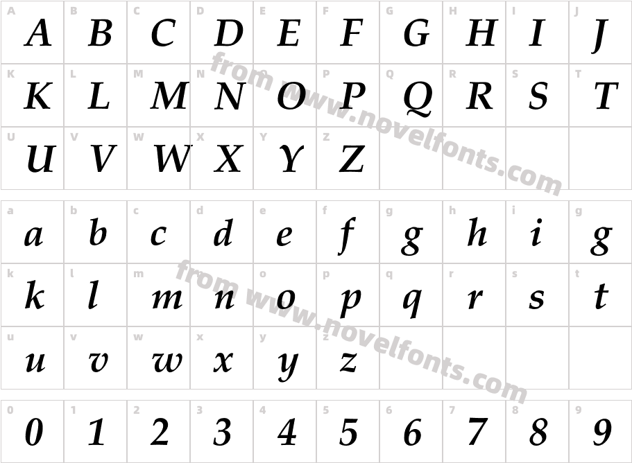 PalladiaBoldItalicCharacter Map