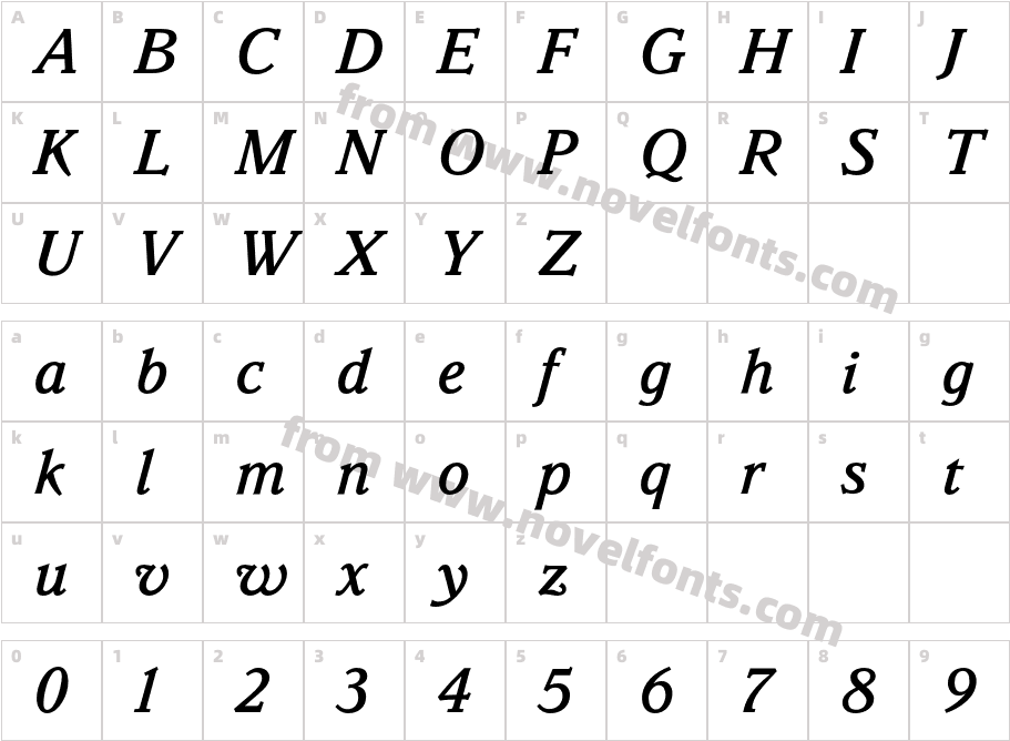 Parkinson-MediumItalicCharacter Map