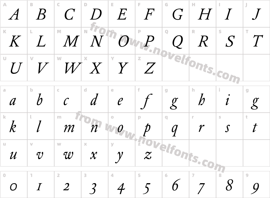 DTLElzevirS-ItalicCharacter Map