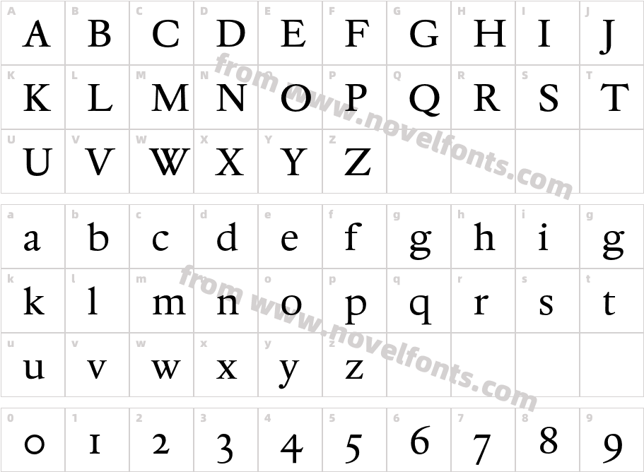 DTLElzevirSBCharacter Map