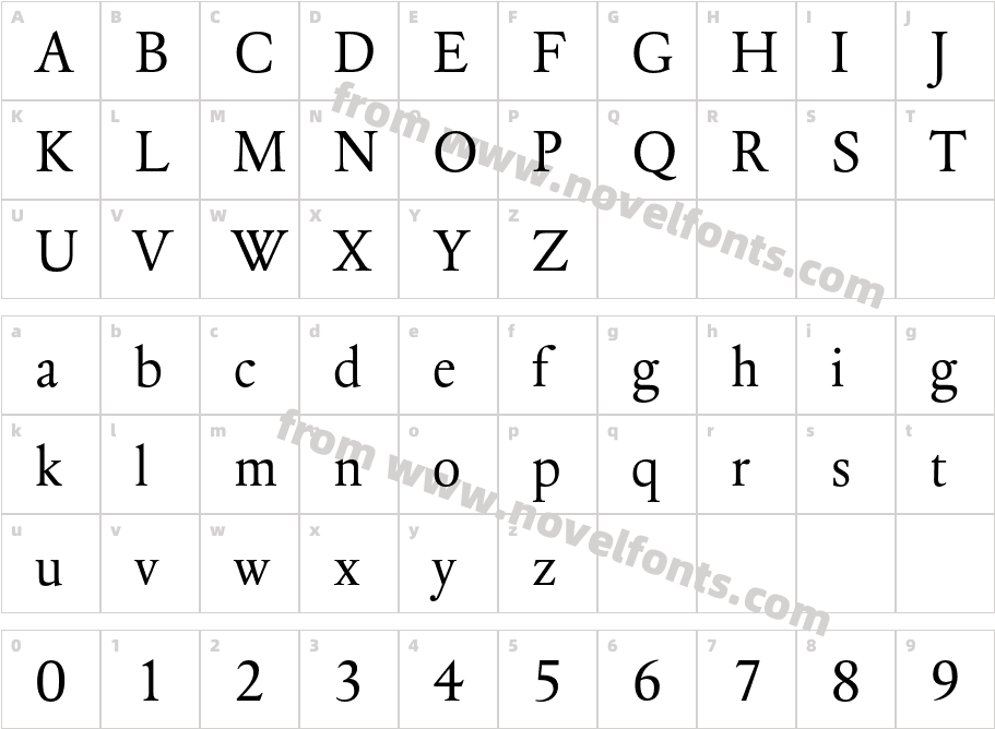 DTLElzevirTCharacter Map