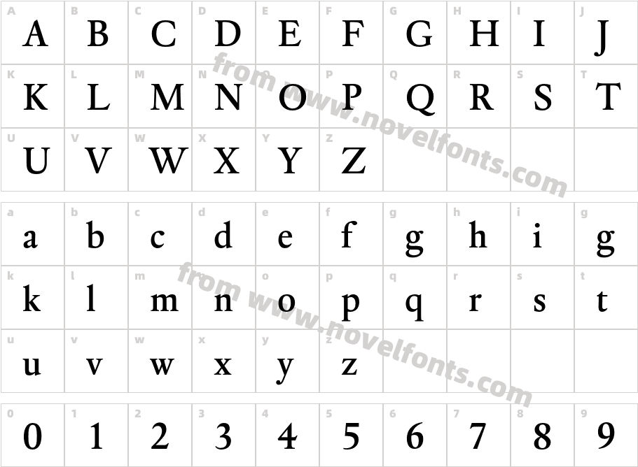 DTLElzevirTMediumCharacter Map