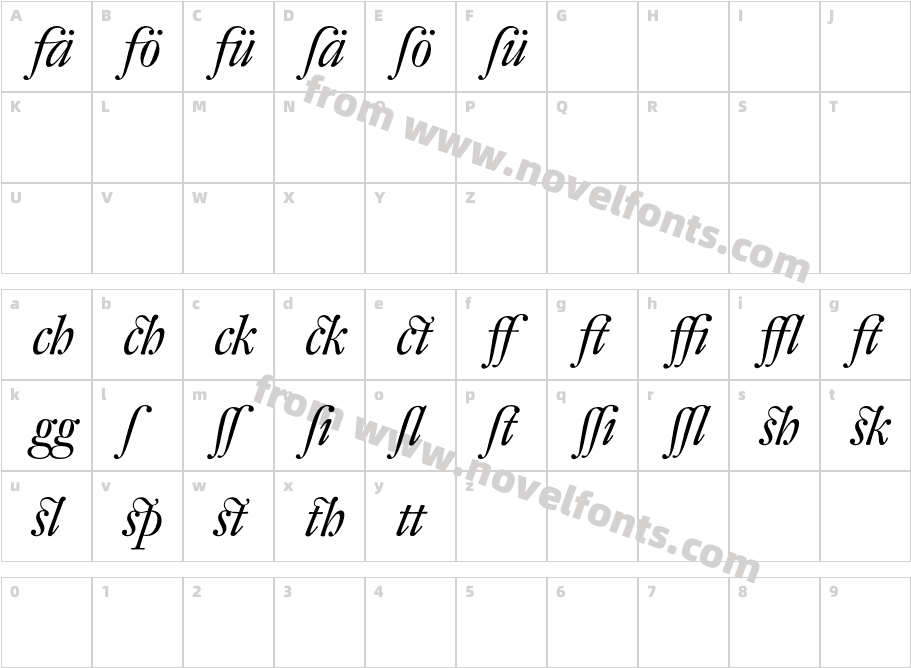 DTLFleischmann-DItalicAltCharacter Map