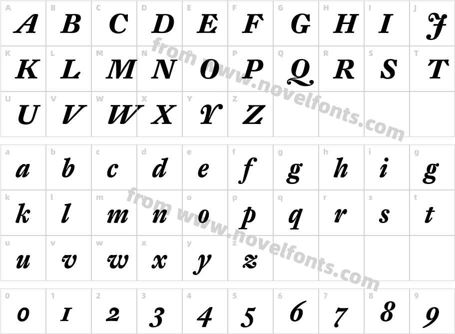 DTLFleischmann-STBoldItCharacter Map