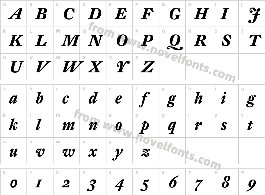 DTLFleischmannSTCharacter Map