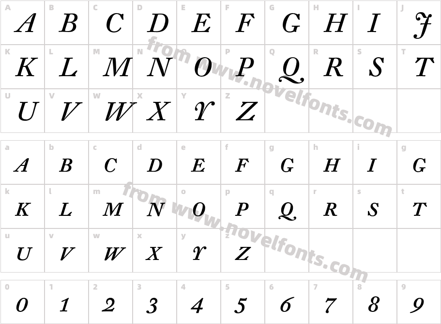 DTLFleischmannT-CapsItalicCharacter Map