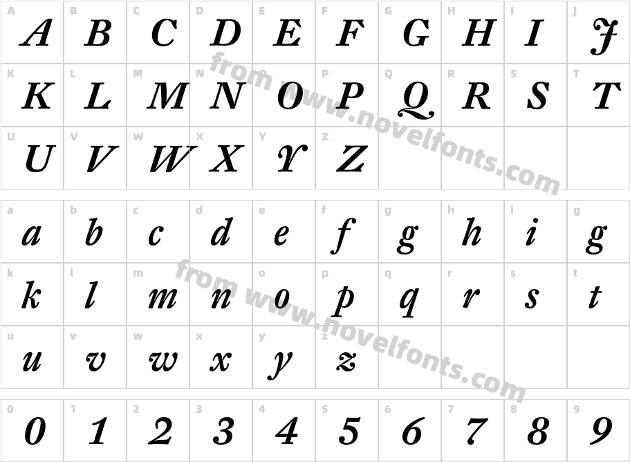 DTLFleischmannT-MediumItalicCharacter Map