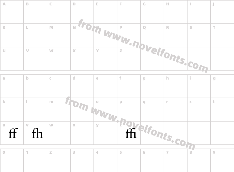 DTLHaarlemmerD AltCharacter Map