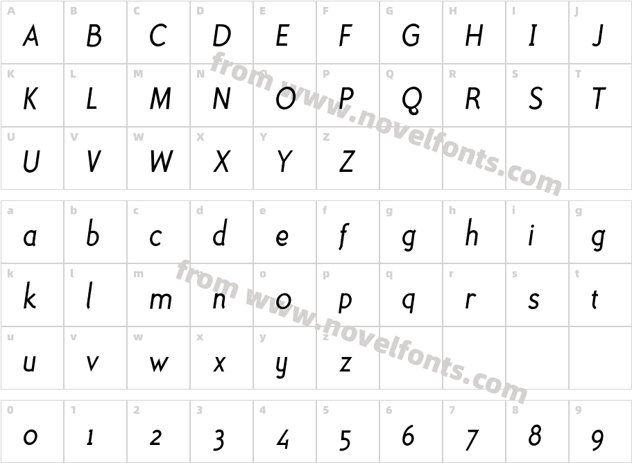 PolymerBookItalicCharacter Map