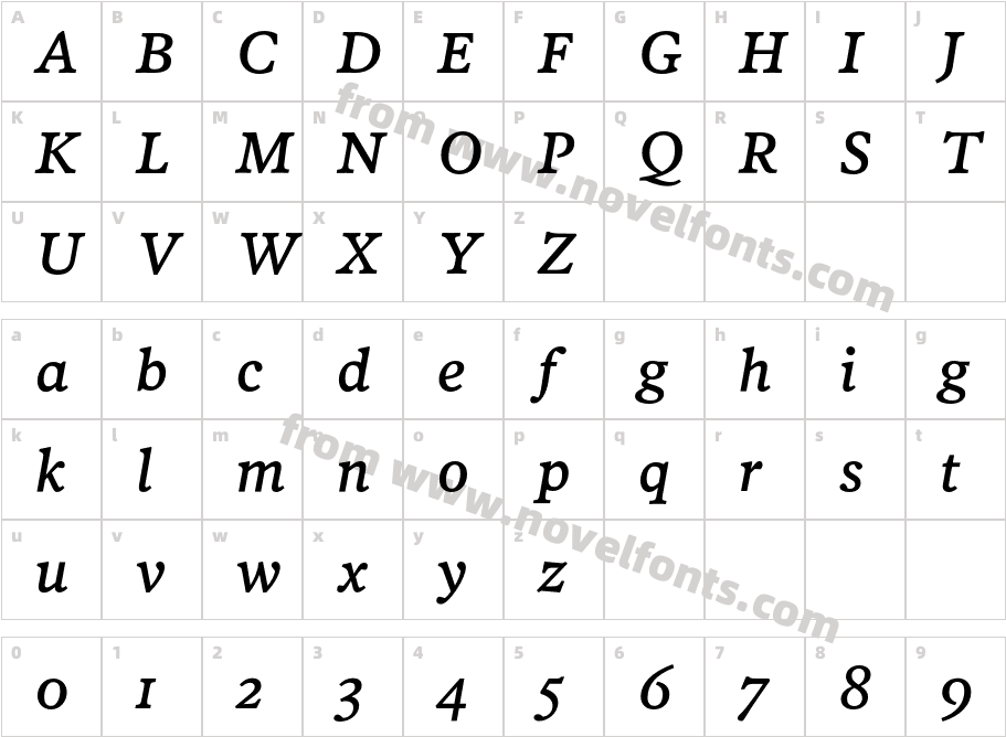 PoynterText-ItalicFourCharacter Map