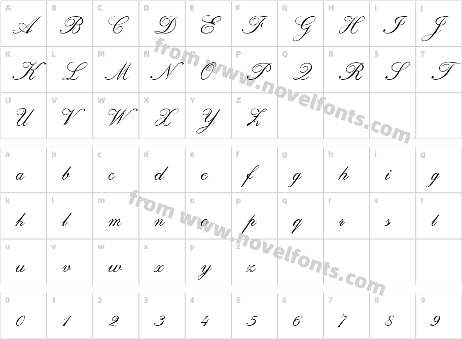 Rachgia-ItalicCharacter Map