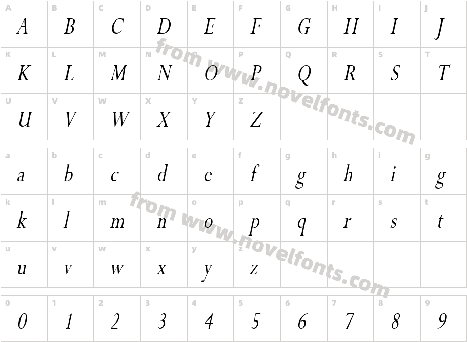 Rapid Thin ItalicCharacter Map