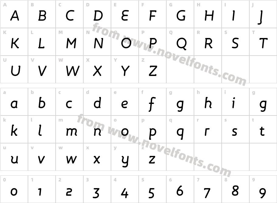 Roice-MediumItalicCharacter Map