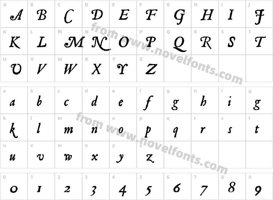 Roman Antique ItalicCharacter Map