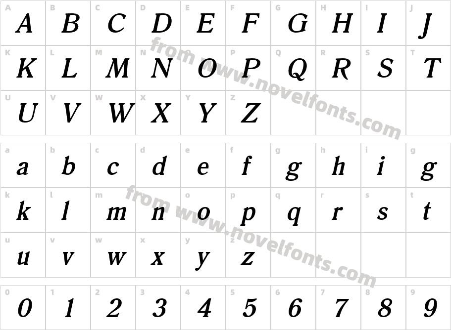 Roomy BoldItalicCharacter Map