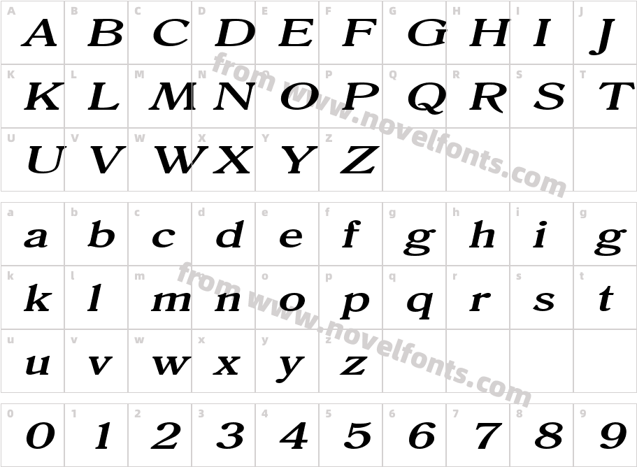 Roomy Extended BoldItalicCharacter Map