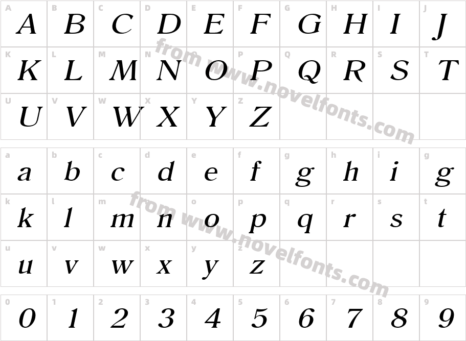 Roomy Wide ItalicCharacter Map