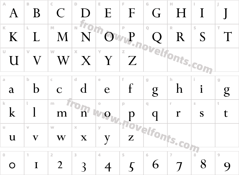 SaigonLightCharacter Map