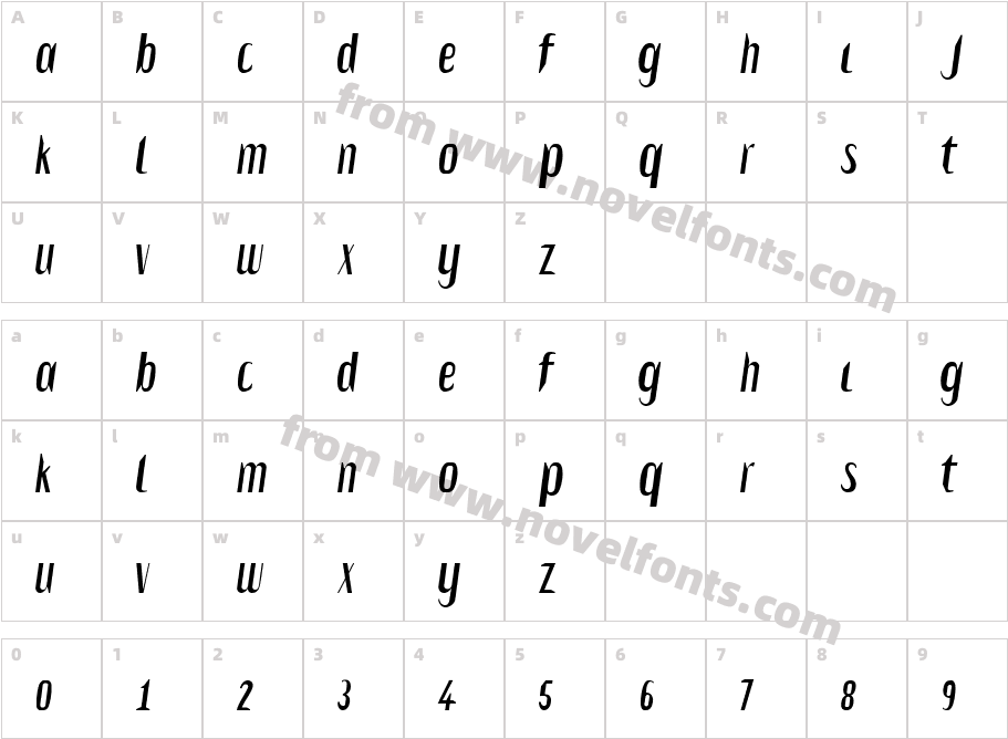 SalvesenCharacter Map