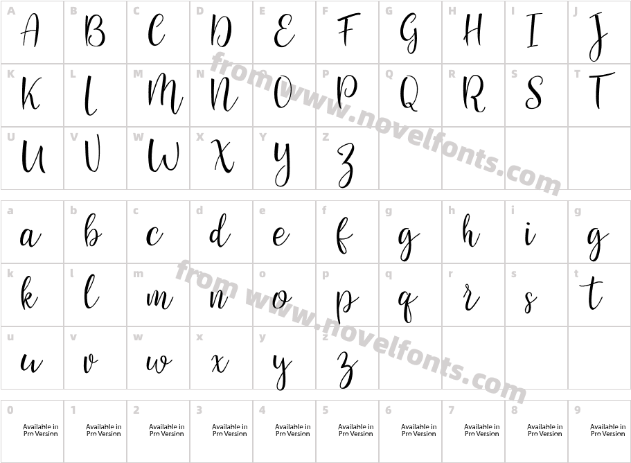 Sanies ScriptCharacter Map