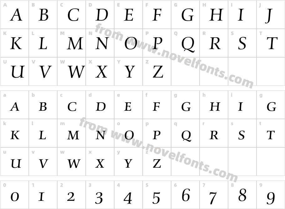 SchneiderAntiquaExpBQ-LightItalicCharacter Map