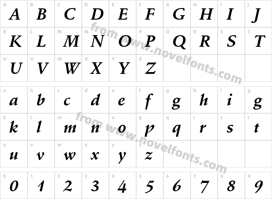 Schneidler BT Bold ItalicCharacter Map