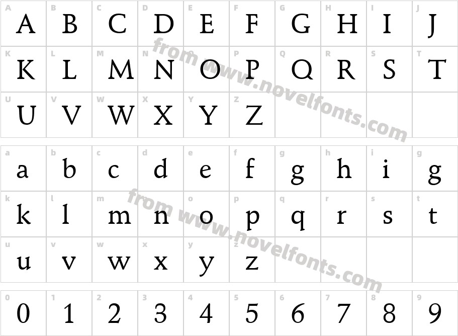 Schneidler Medium BTCharacter Map