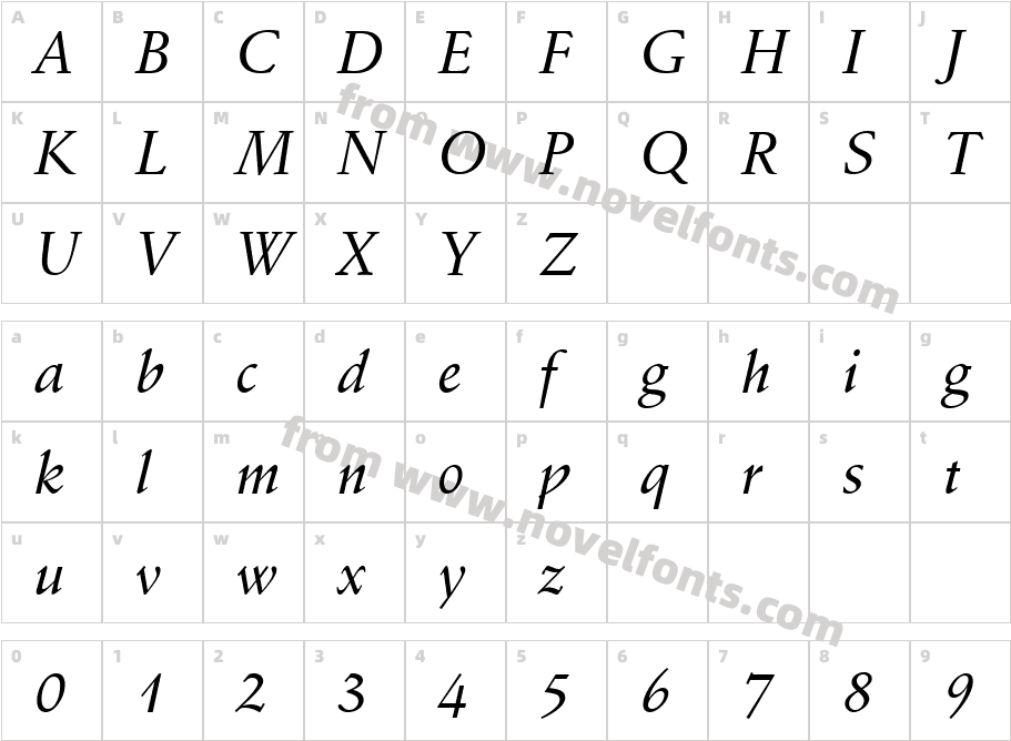 Schneidler Medium Italic BTCharacter Map