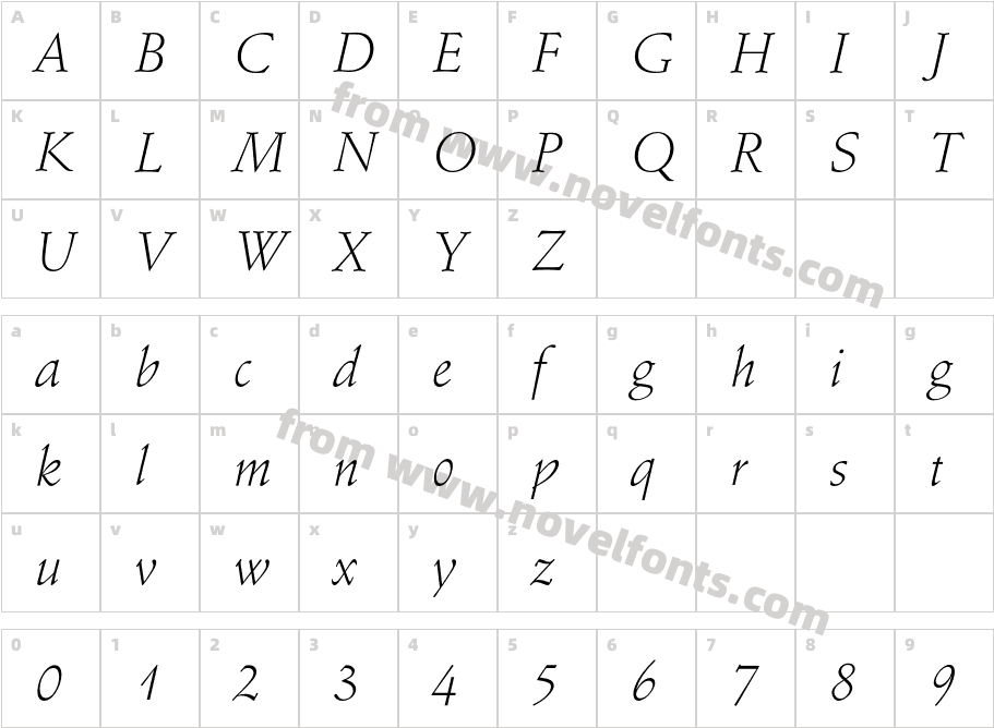 SchneidlerEF-LightItalicCharacter Map