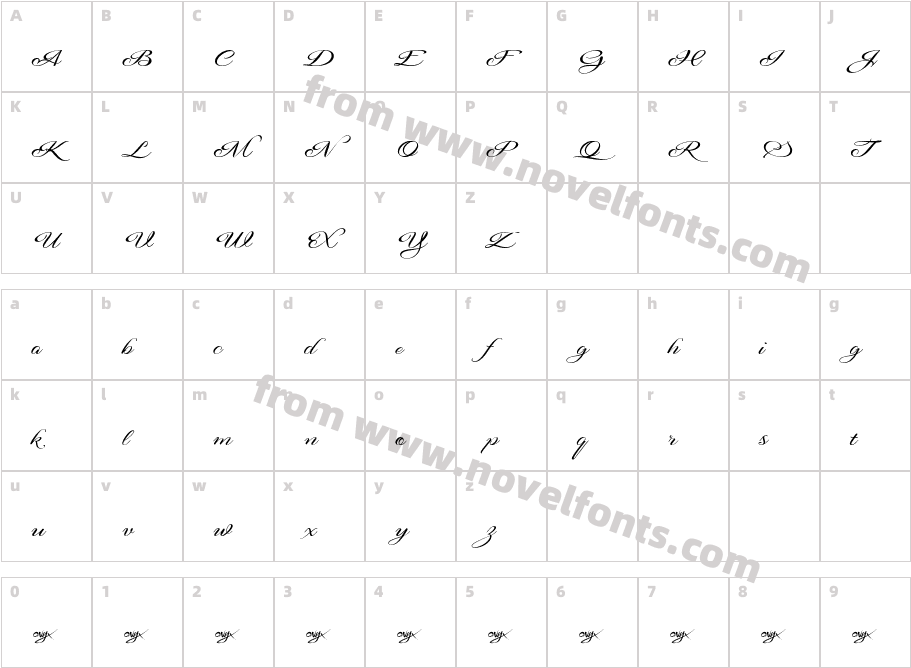 Signarita AnneCharacter Map