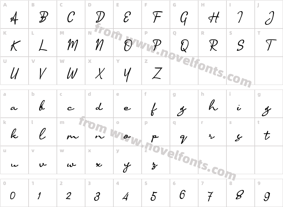 Accountant SignatureCharacter Map