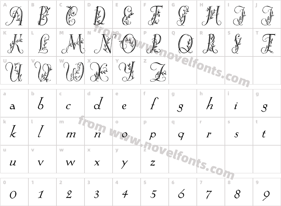 Springtime_FlourishCharacter Map