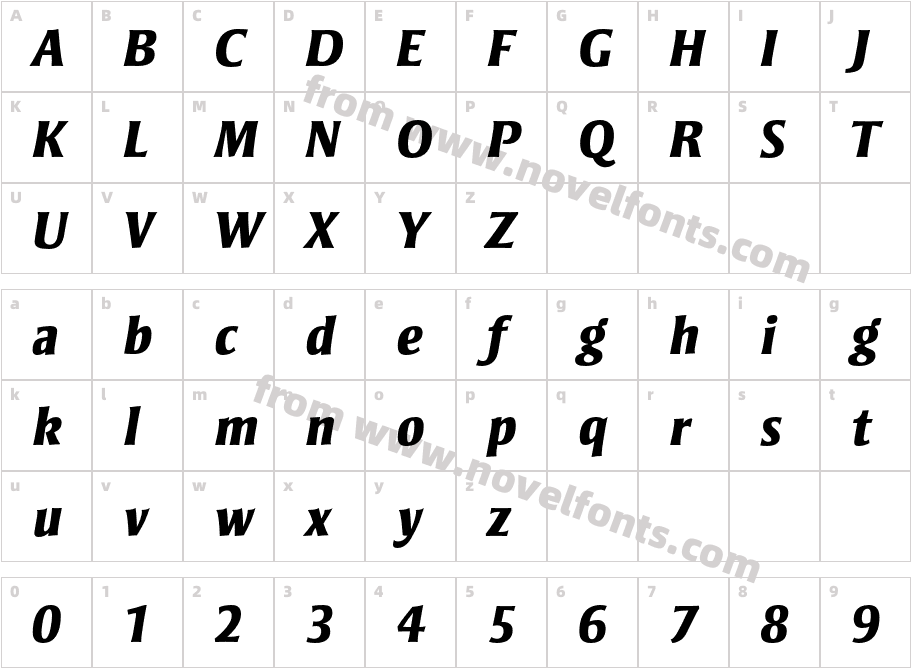 StrayhornMT-ExtraBoldItalicCharacter Map