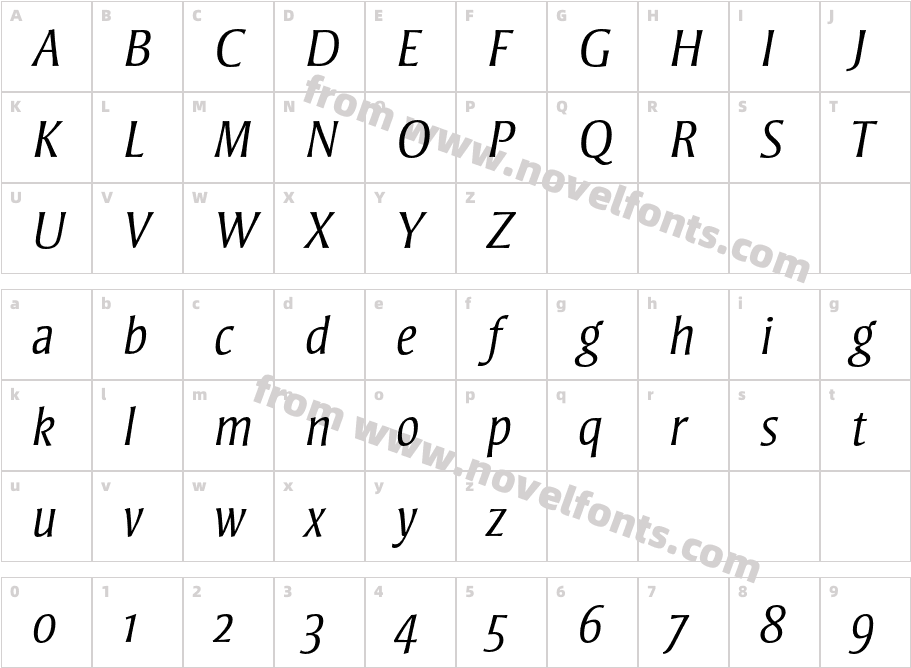 StrayhornMT-LightItalicOsFCharacter Map