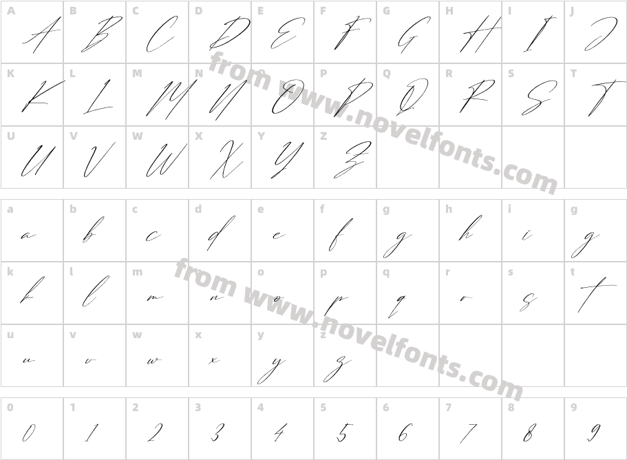 Strongela Delmonte ItalicCharacter Map