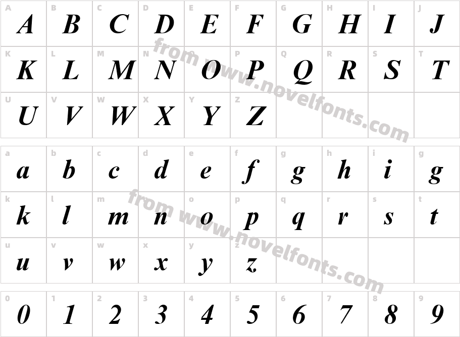 Times New Roman Mon Bold ItalicCharacter Map