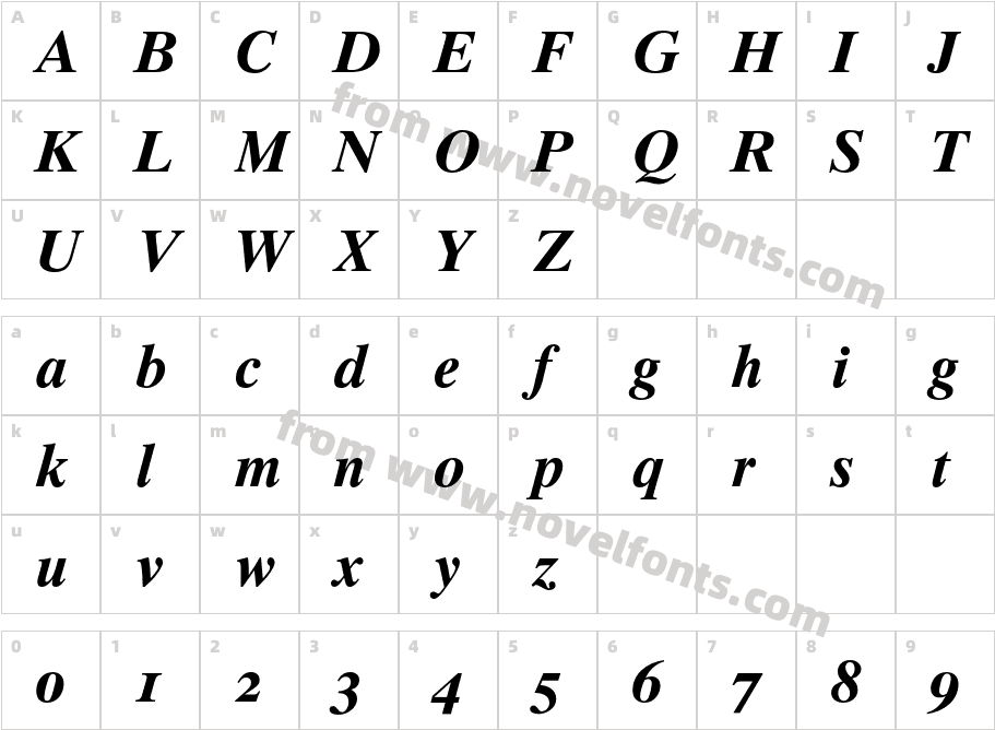 TimesTen-BoldItalicOsFCharacter Map