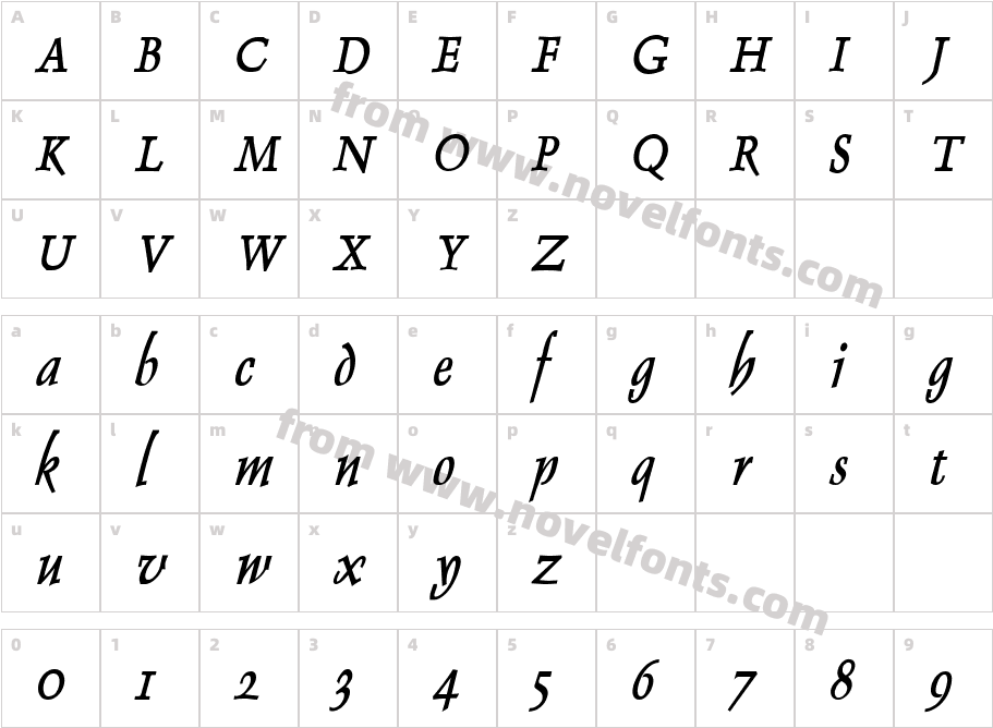 Dolphin Condensed Bold ItalicCharacter Map