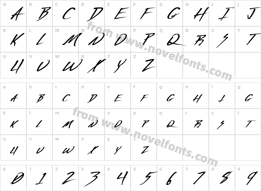 Vecker Bold ItalicCharacter Map