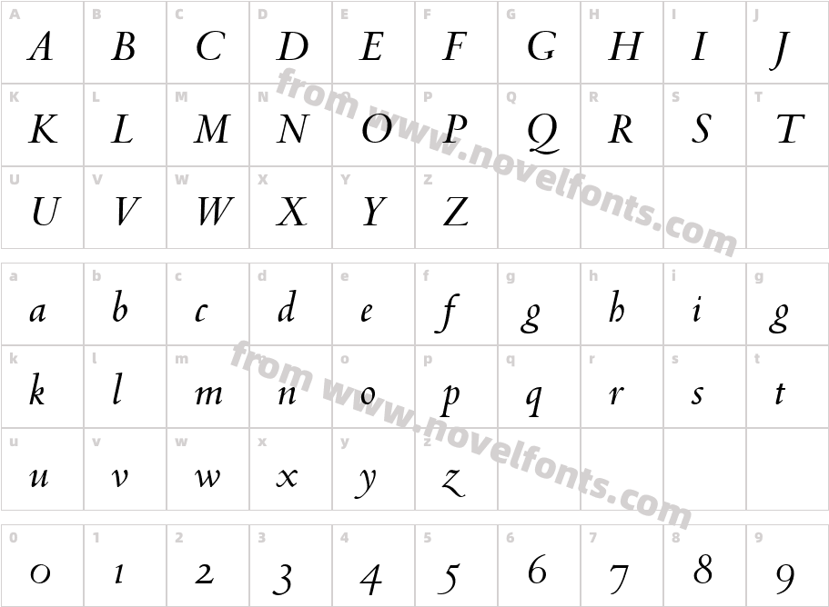 Venetian 301 Demi Italic BTCharacter Map