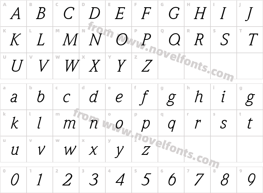 WeidemannBookItalicCharacter Map