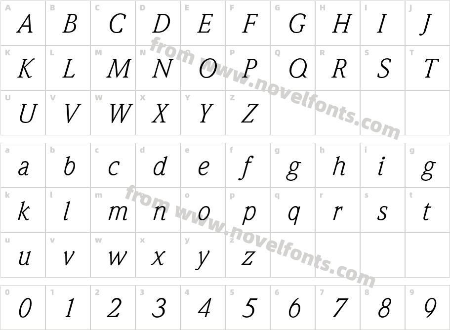 WeidemannStd-BookItalicCharacter Map