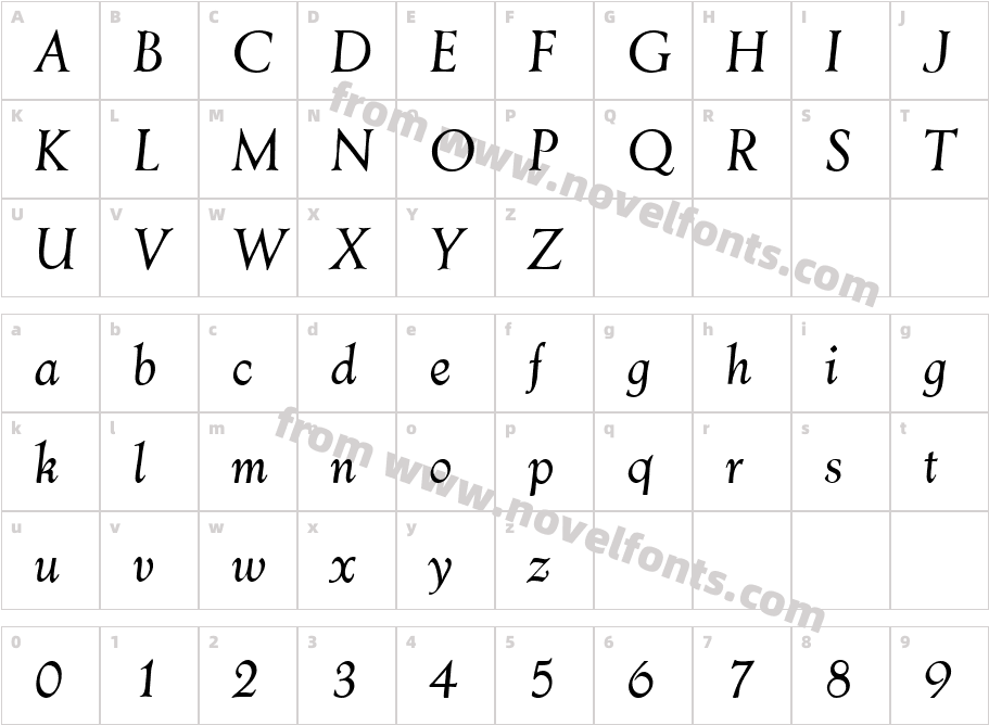 AesopItalicCharacter Map