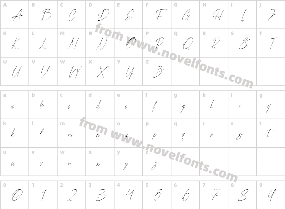 Align dailyCharacter Map