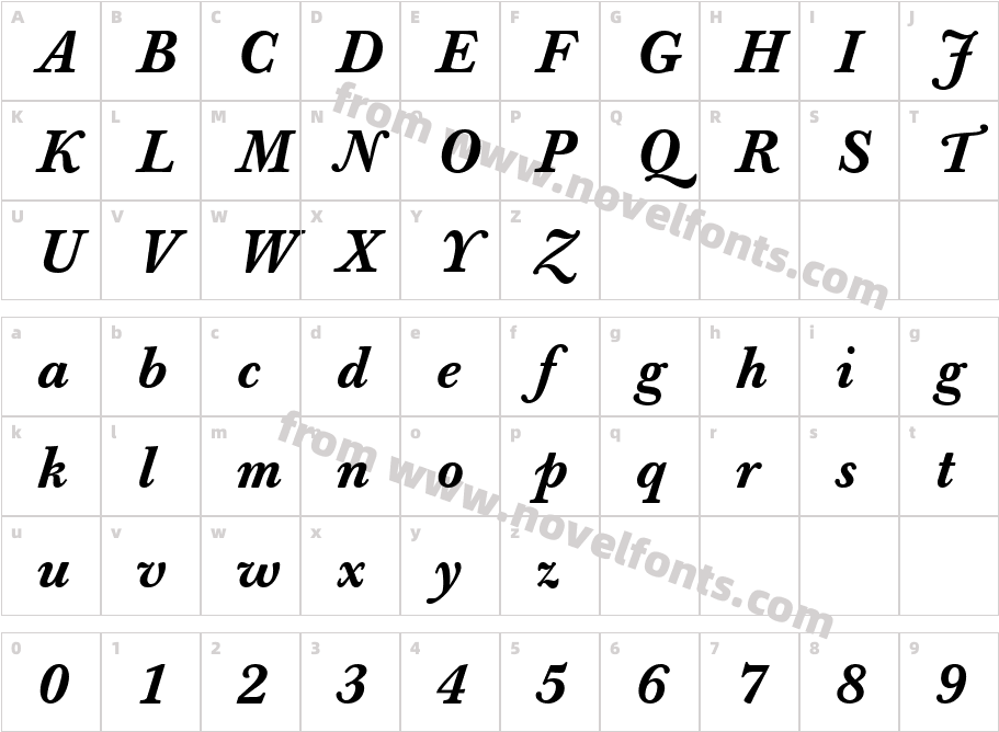 BertholdBaskervilleMediumBook_ItalicCharacter Map