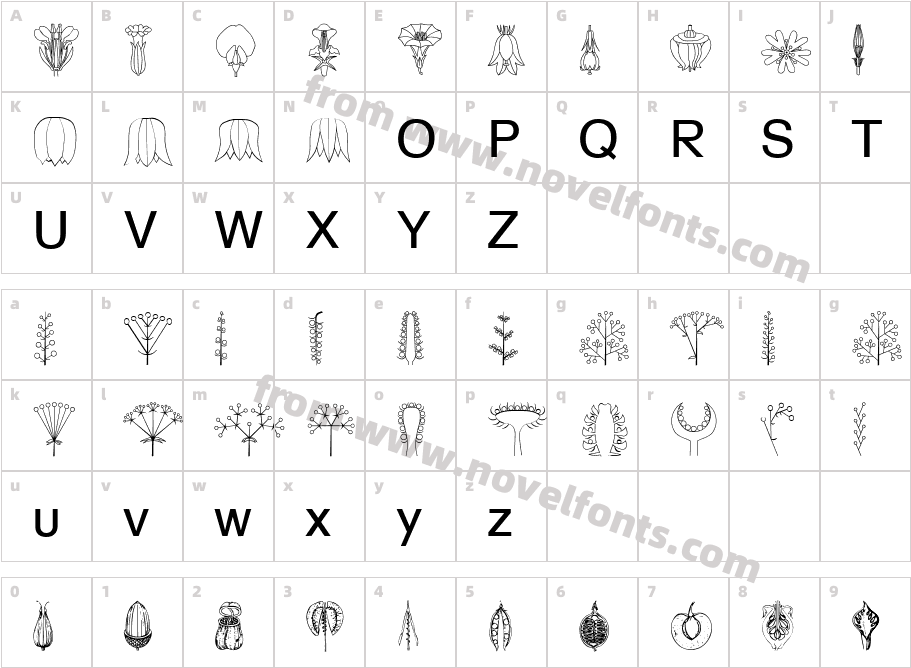 BioFlower BeckerCharacter Map