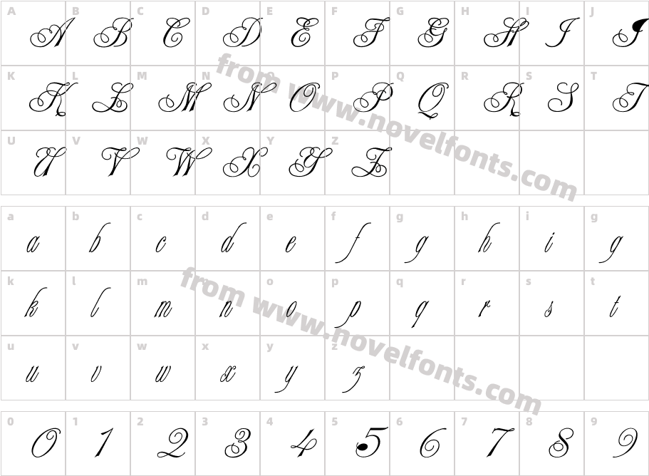 Election ScriptCharacter Map