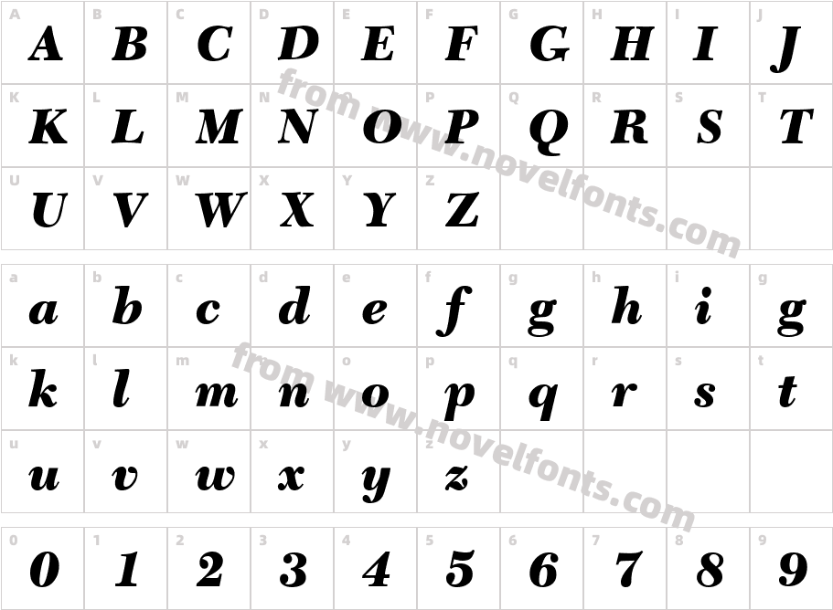 C651RomanBlackItalicCharacter Map