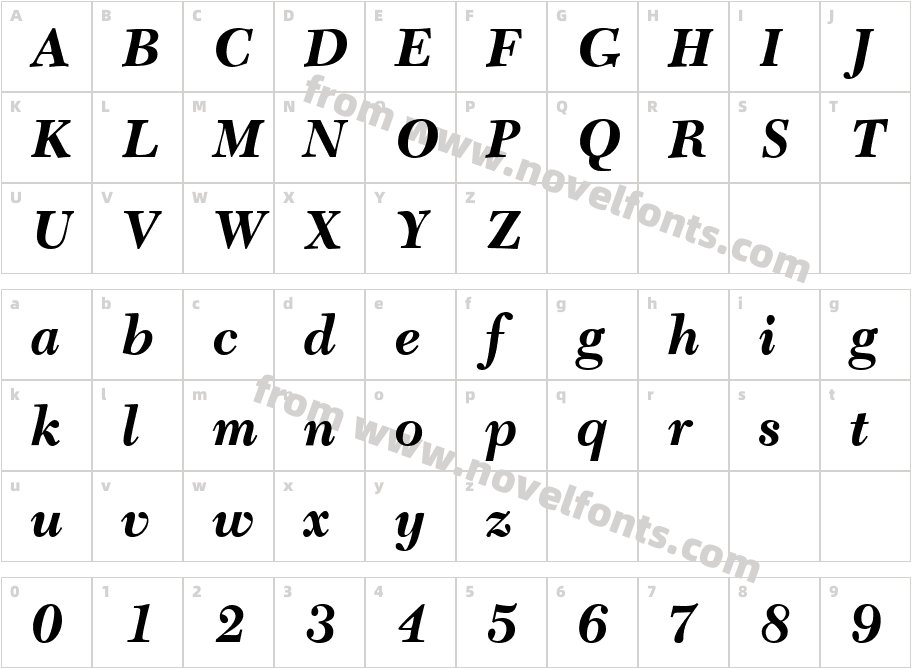 C651RomanBoldItalicCharacter Map